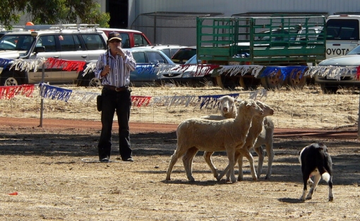 Denise Scudds and Badgingarra Cody